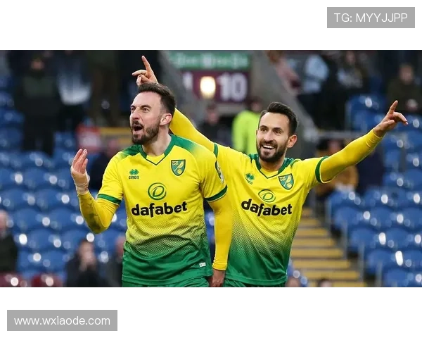 赫尔城夏季引援动作频频，多笔签约提升阵容深度