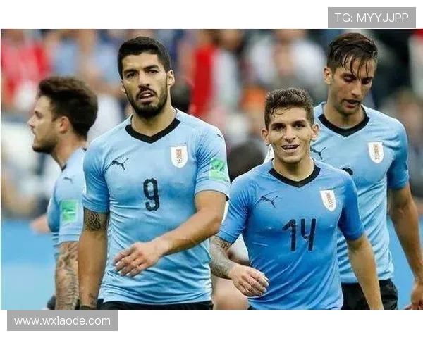 乌拉圭队攻防平衡表现稳健