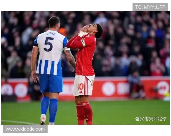 明星球员剪影：近期表现稳健，赛场影响力持续提升