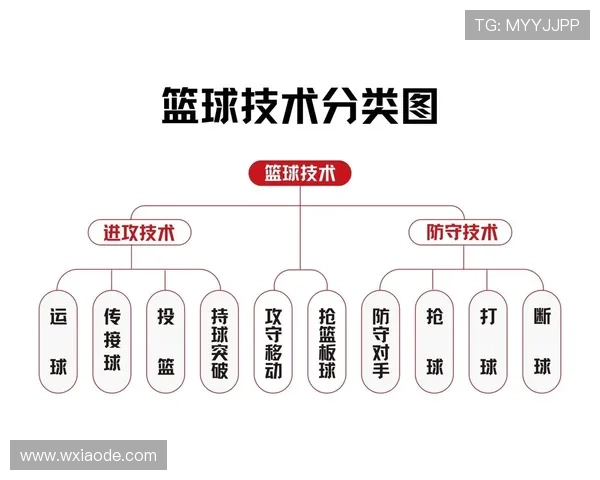 篮球持球规则全面解析：理解合法持球与运球的判定